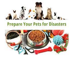 Prepare your pets for a disaster, picture of dog, cat, snake, rabbit, guinea pig, turtle