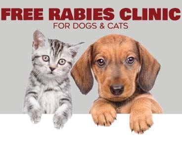 A picture of a puppy and kitten with the words Free Rabies Clinic for dogs and cats