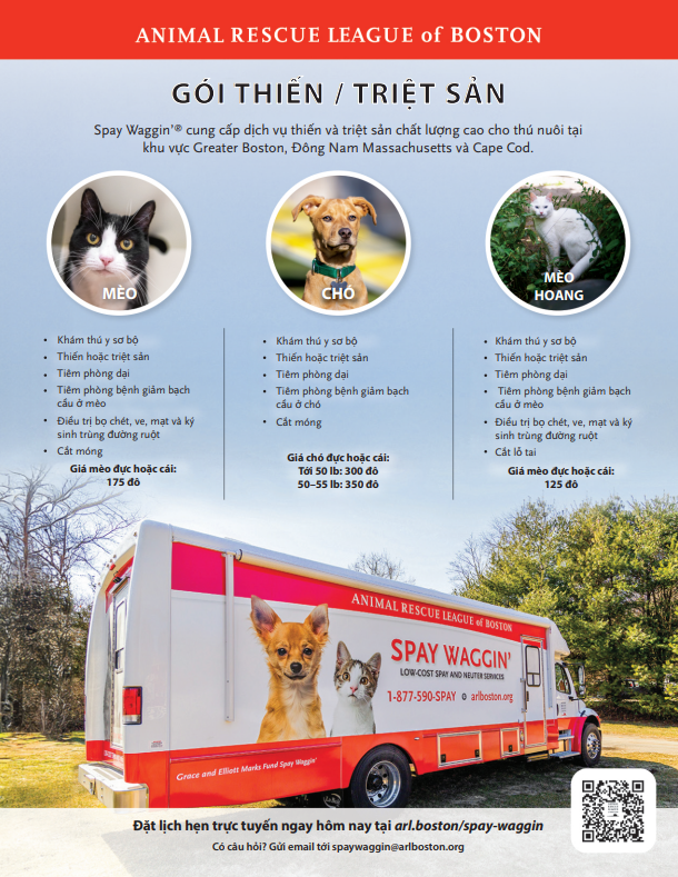 Low Cost Spay / Neuter Animal Rescue League of Boston