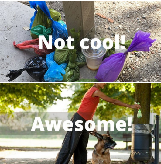 pet waste bags not disposed correcting saying not cool, person disposing pet waste properly- awesome