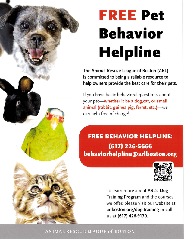 If you have Pet Behavior Questions contact Animal Rescue League of Boston